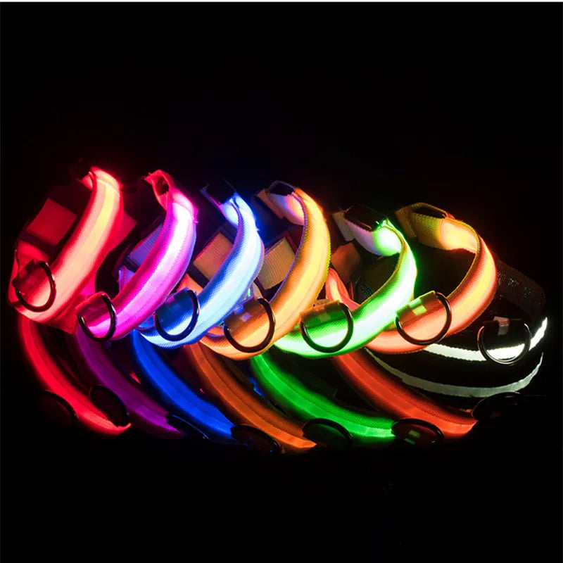 Dog LED Light Collar